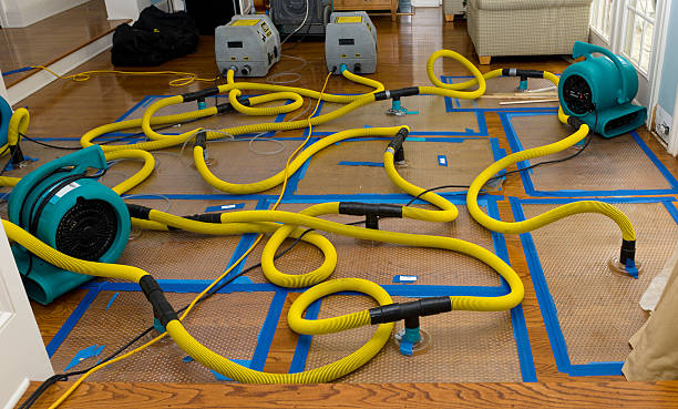 Professional Burst Pipe Water Damage technician working in Amlin, OH
